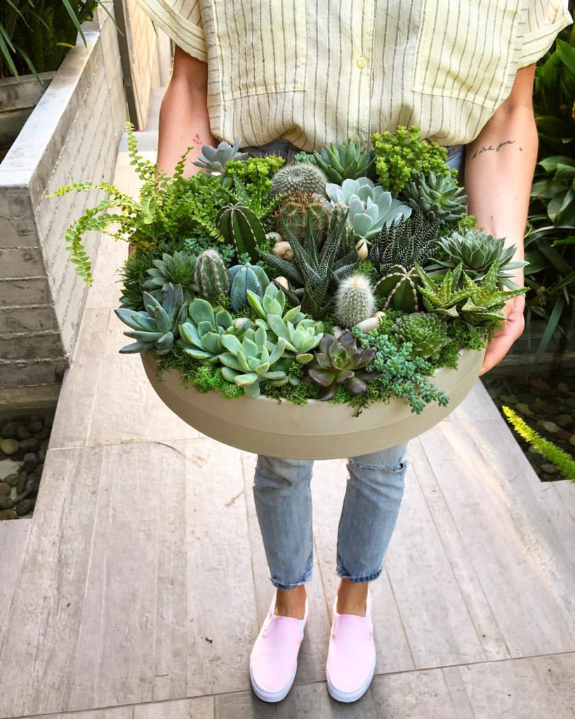 Taylor Jones Plant Bowl
